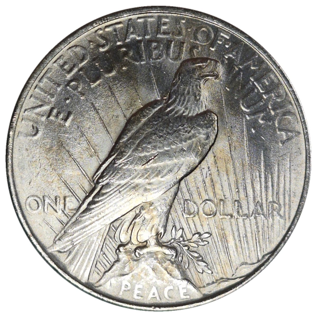 1922-$1-Peace-Dollar-#7---8-Of-142